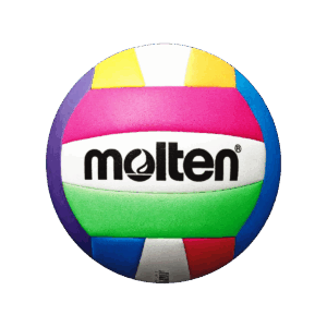 BALON VOLEYPLATA MOLTEN COSIDO MS500 NEO