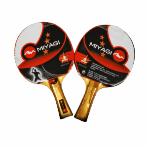 RAQUETA TENIS DE MESA MYAGI 3 ESTRELLAS